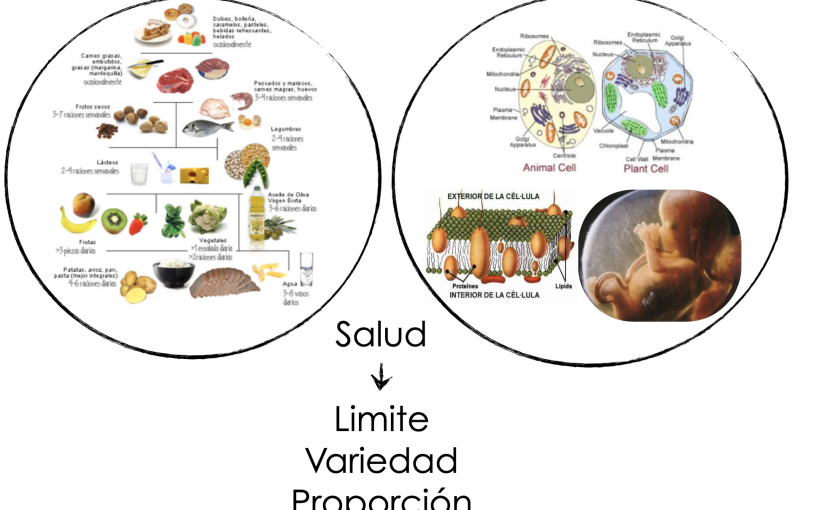 Architecture | Health